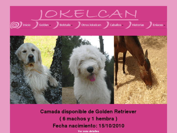 www.jokelcan.com