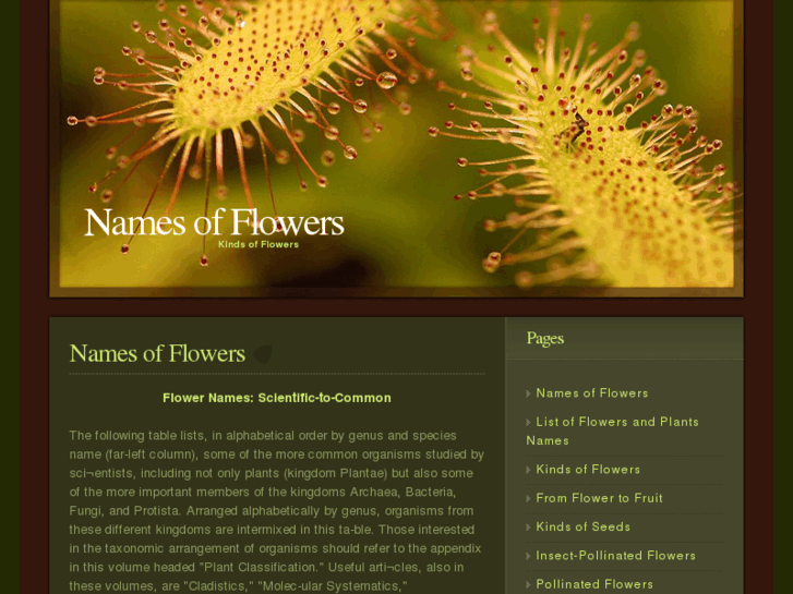 www.names-of-flowers.net