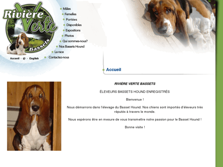 www.rvbassets.com