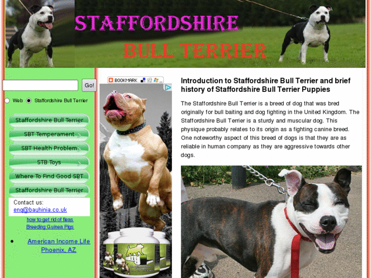 www.staffordshirebullterrier.org.uk