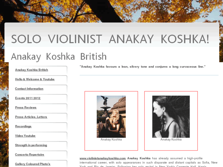 www.violinistanakaykoshka.com