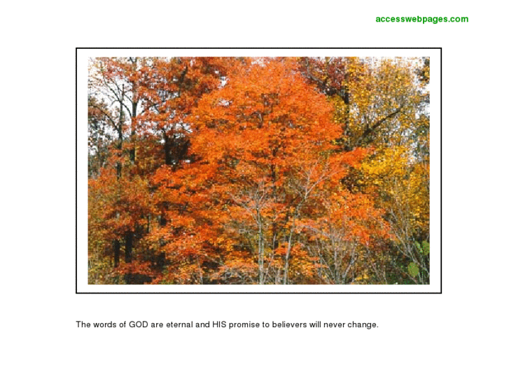 www.accesswebpages.com