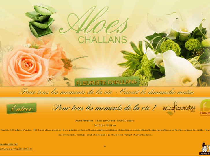 www.aloes-fleuriste.net