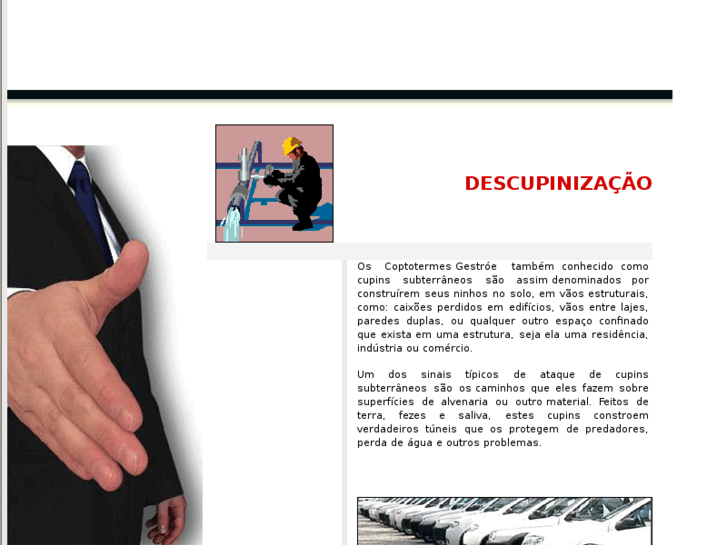 www.descupinizadora.info