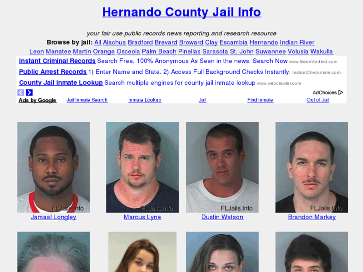 www.hernandocountyjail.info