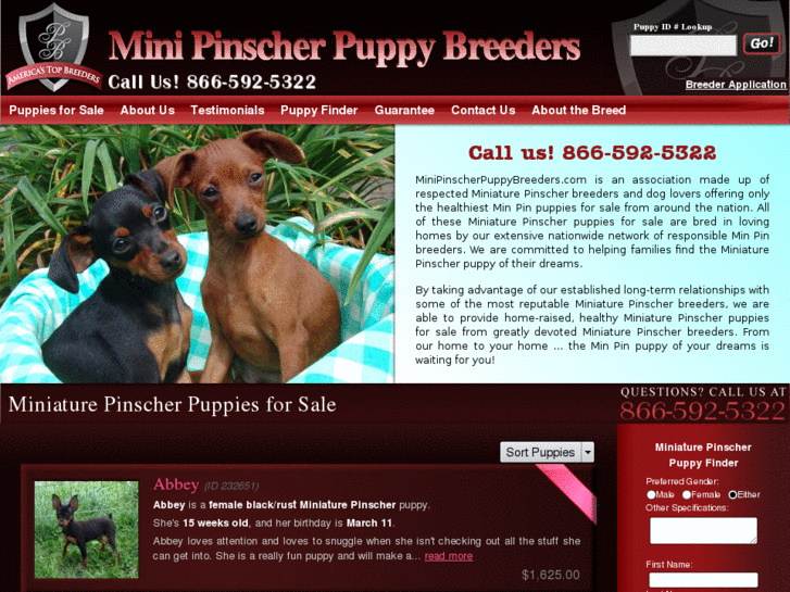 www.minipinscherpuppybreeders.com