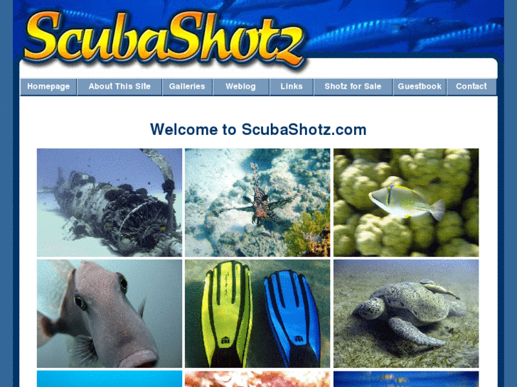 www.scubashotz.com