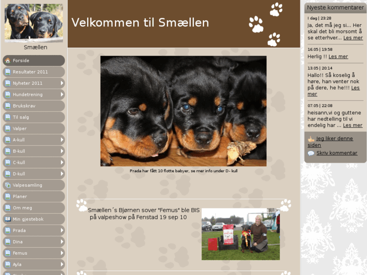 www.smaellen.com