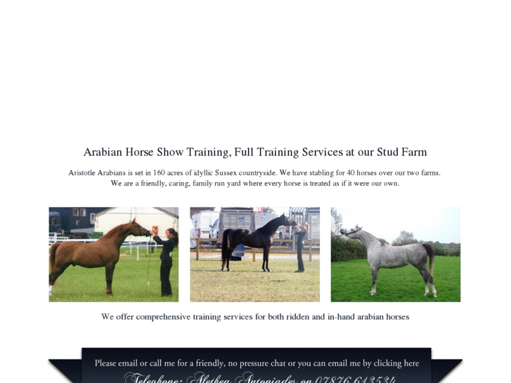 www.arabianhorseshowtraining.com