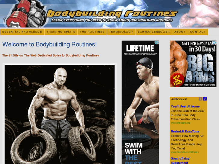 www.bodybuilding-routines.com