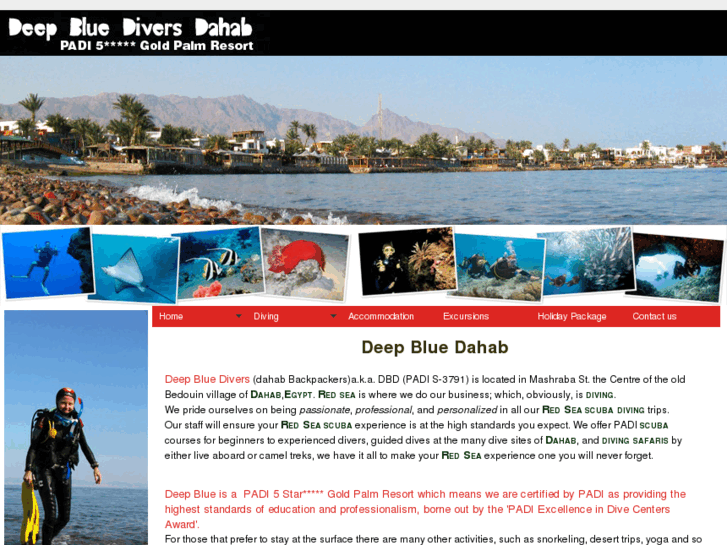 www.dahab-backpackers.com