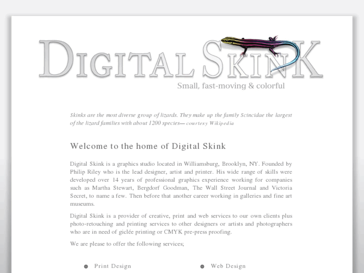 www.digitalskink.com