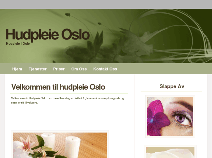 www.hudpleieoslo.com