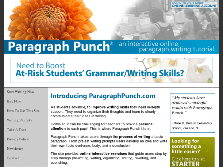 www.paragraphpunch.com