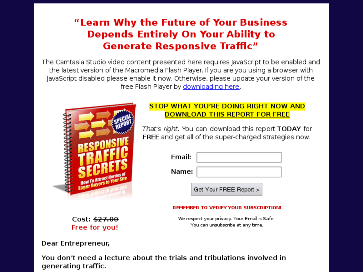 www.responsive-traffic-secrets.com