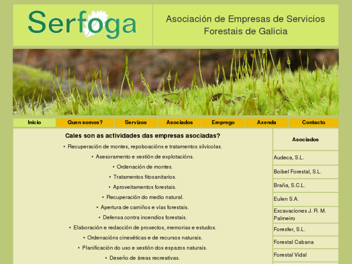 www.serfoga.biz