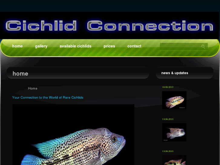 www.cichlidconnection.com