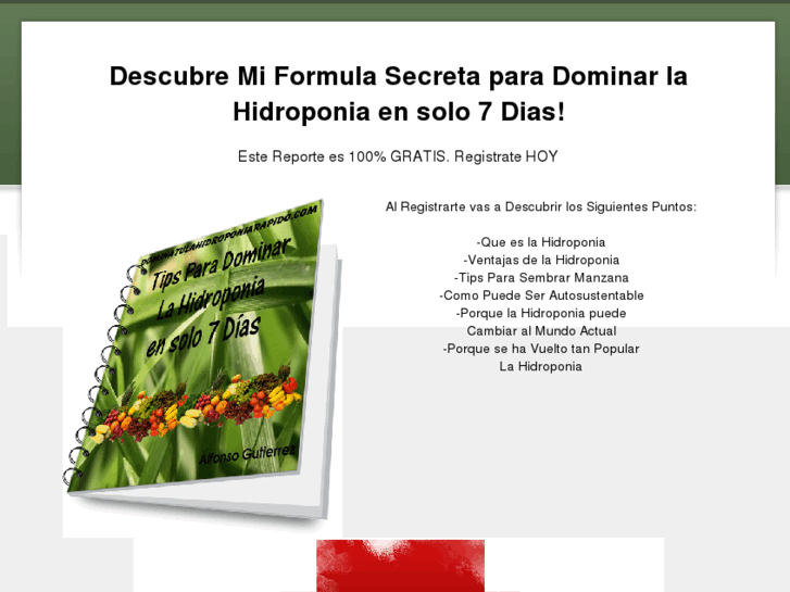 www.dominatulahidroponiarapido.com