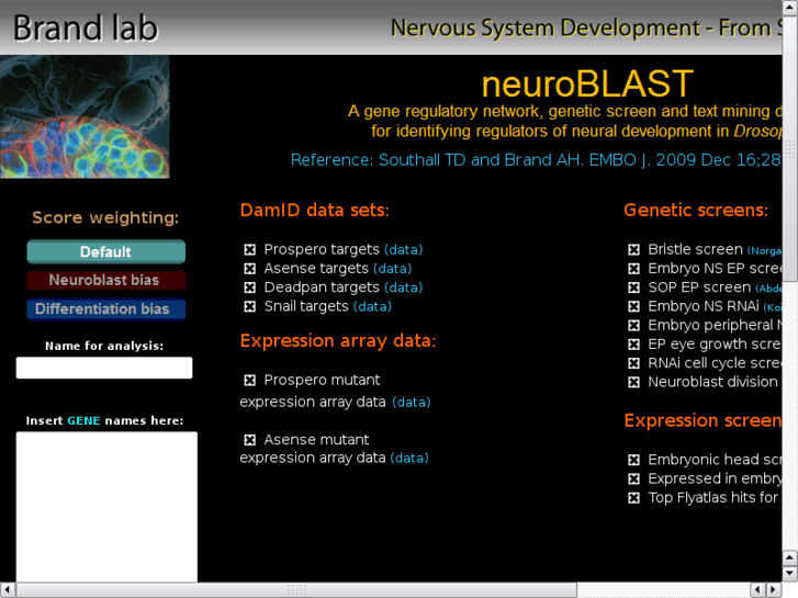 www.neuroblast.org
