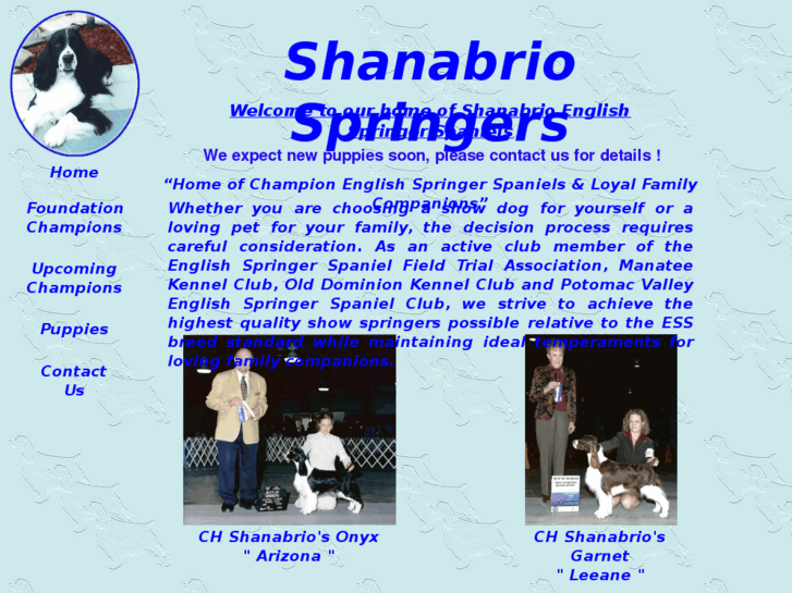 www.shanabriospringers.com