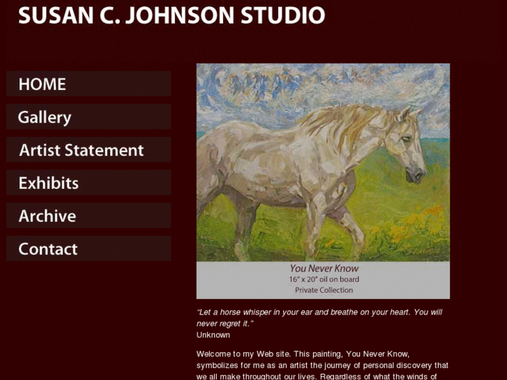 www.susancjohnsonstudio.com