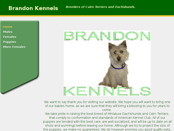 www.brandonkennels.com