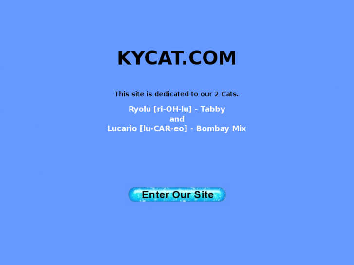 www.kycat.com