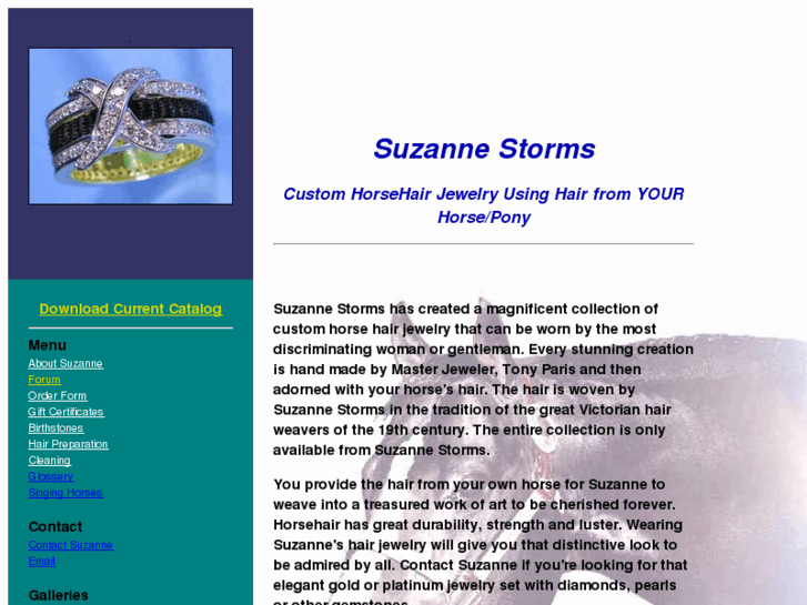 www.suzannestorms.com