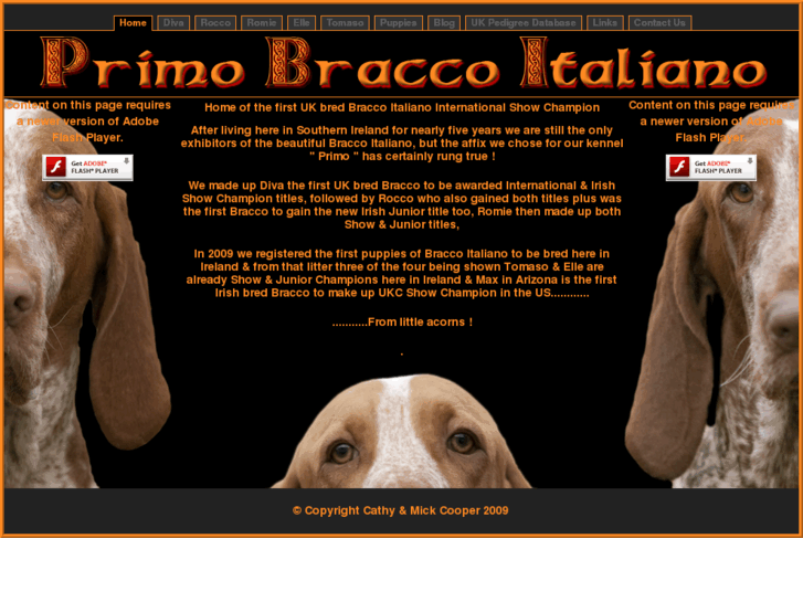 www.bracco.ie