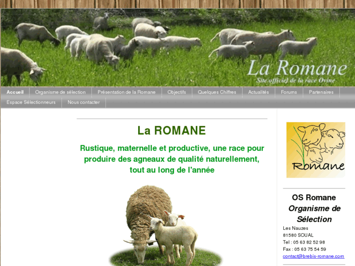 www.brebis-romane.com