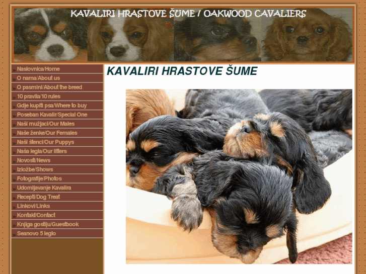 www.cavalier-croatia.com