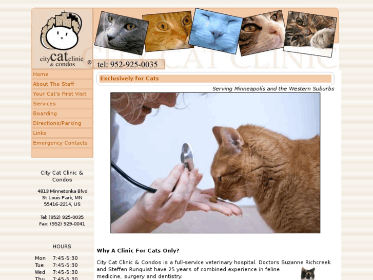 www.citycatclinic.com