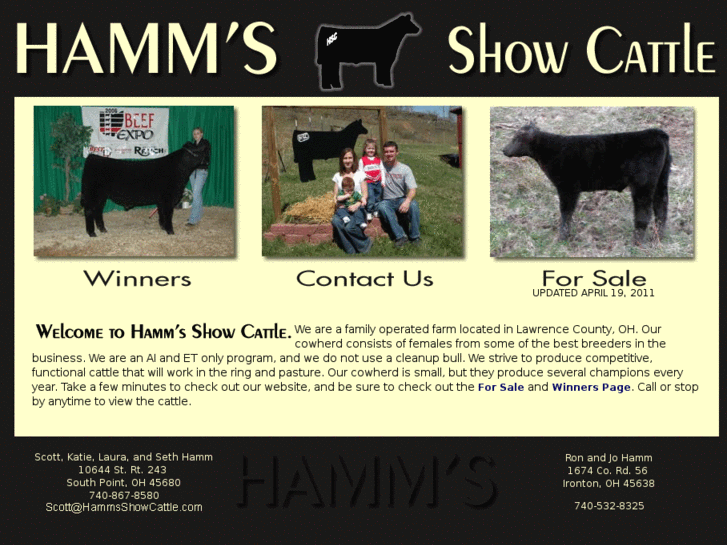 www.hammsshowcattle.com