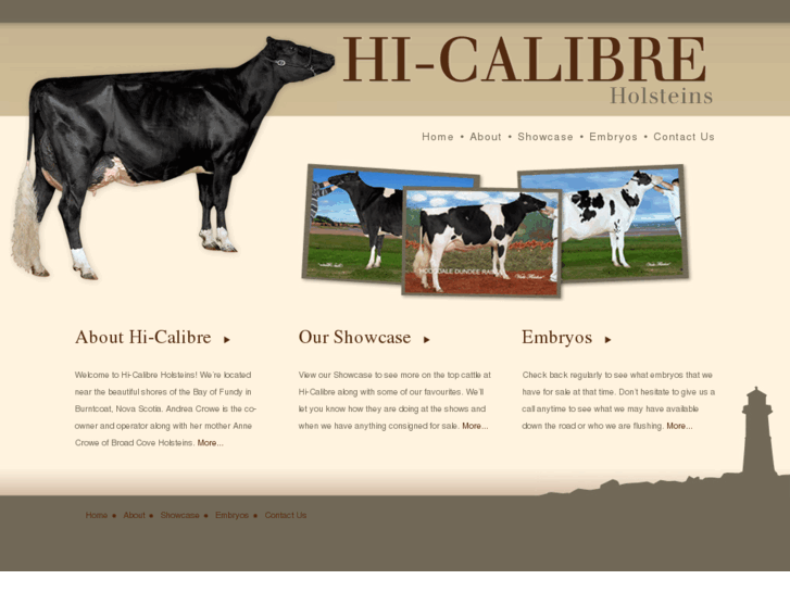 www.hi-calibreholsteins.com