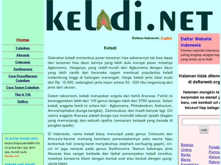 www.keladi.net