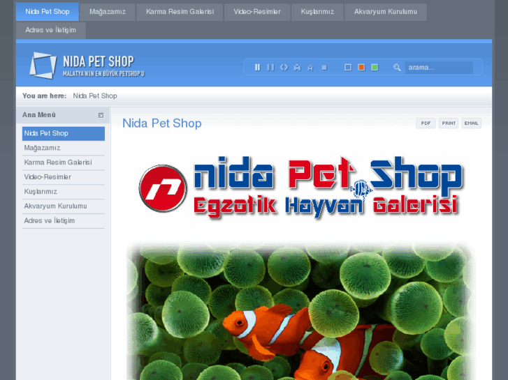 www.nidapetshop.com