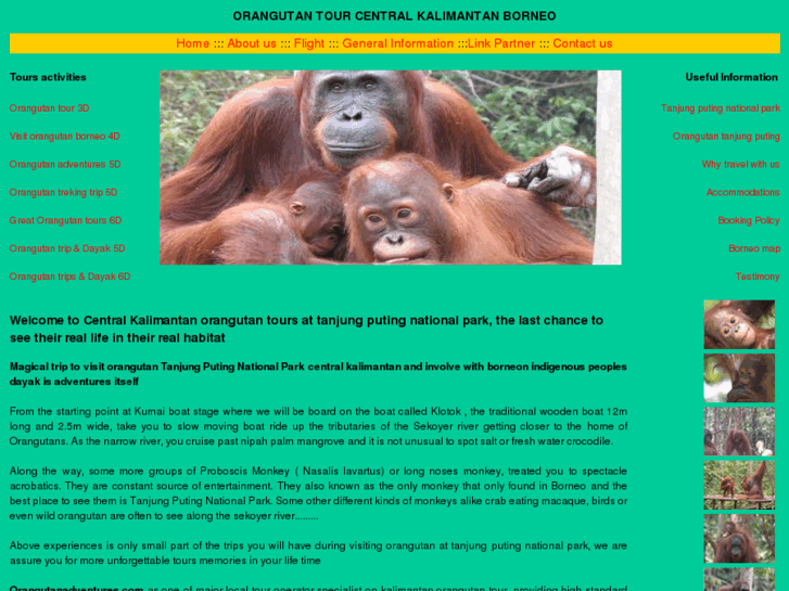 www.orangutanadventures.com