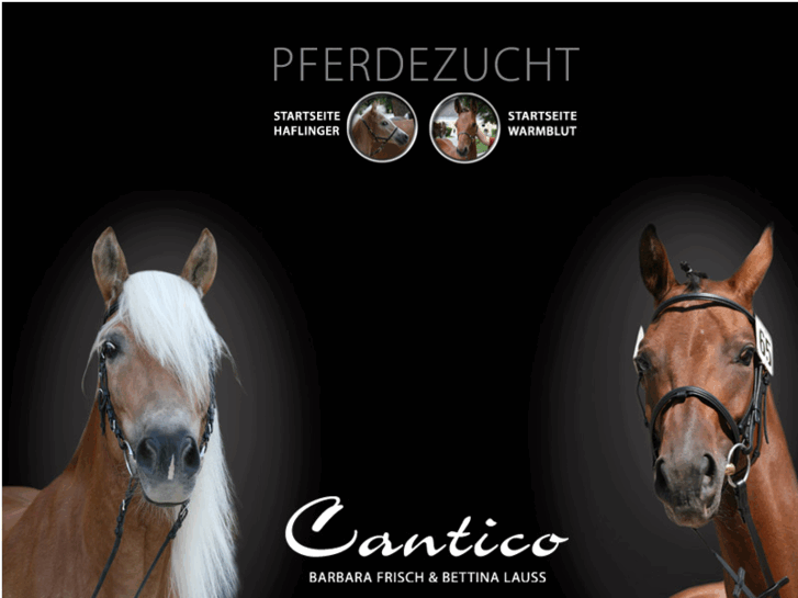 www.pferdezucht-cantico.com