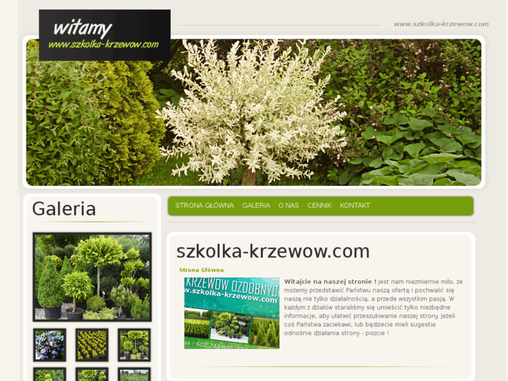 www.szkolka-krzewow.com