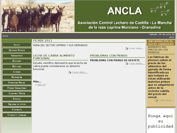 www.anclaclm.org