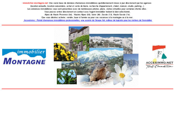 www.immobilier-montagne.net