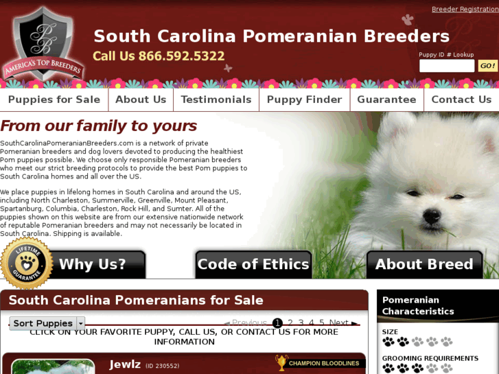 www.southcarolinapomeranianbreeders.com