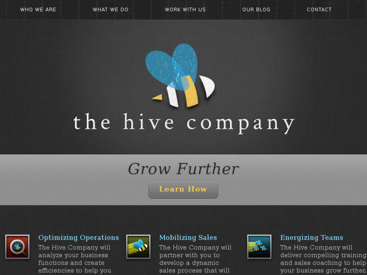 www.thehivecompany.com