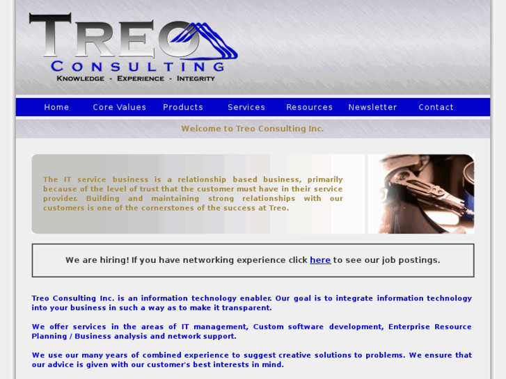 www.treoconsulting.com