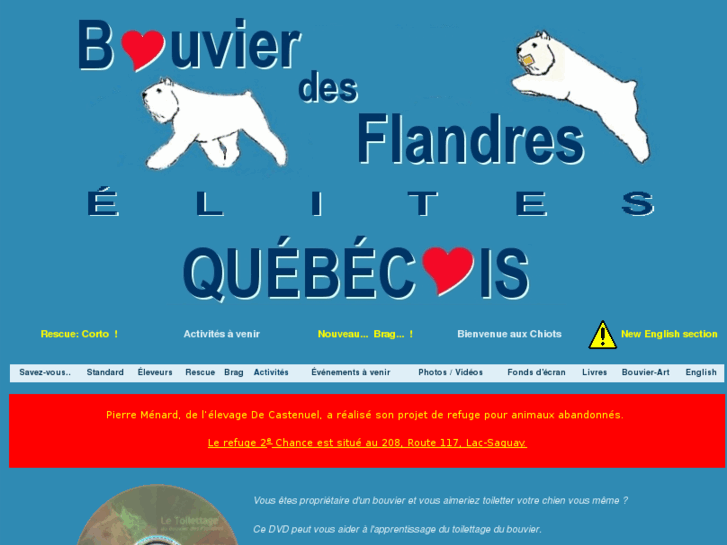 www.bouvierdesflandreselites.com