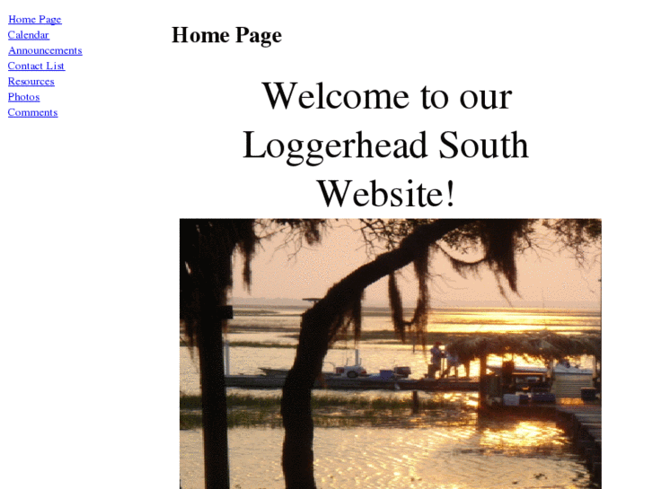 www.loggerheadsouth.com