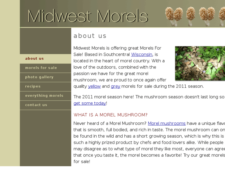 www.midwest-morels.com