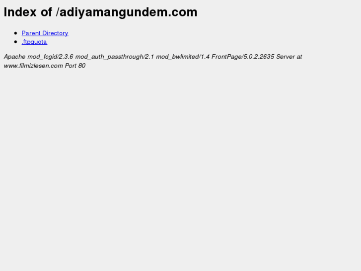 www.adiyamangundem.com