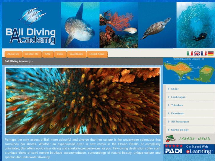 www.balidivingacademy.com