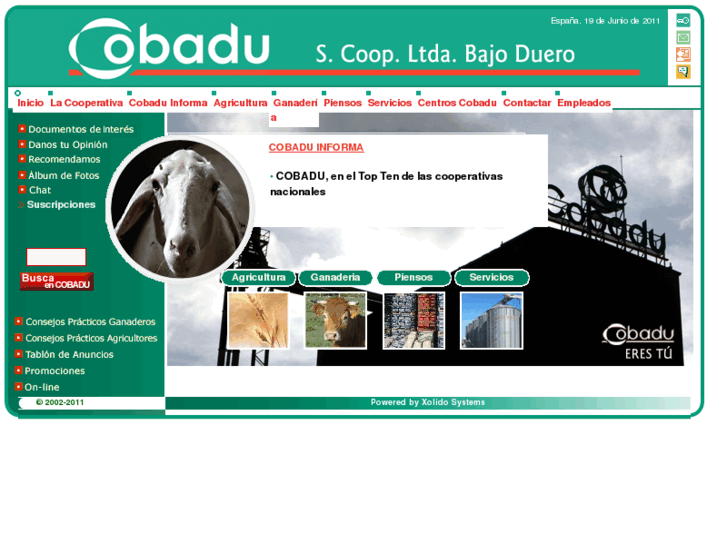 www.cobadu.com